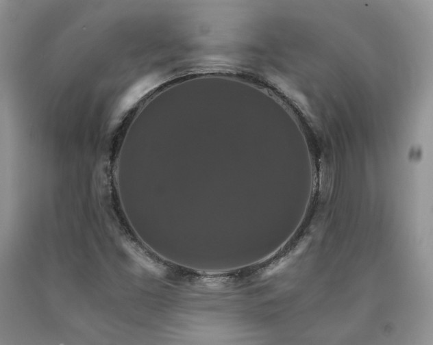 X0000090761453200707201454