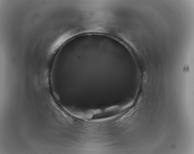 X0000090761455200707201454