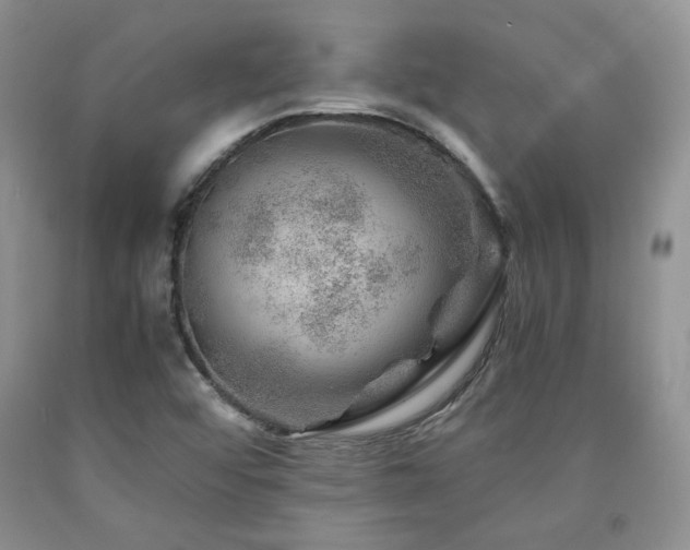 X0000090761456200707201454