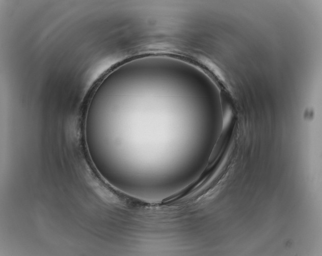 X0000090761458200707201454