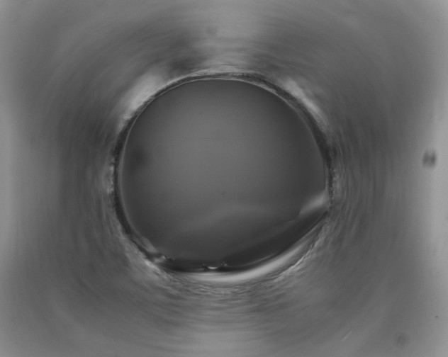 X0000090761459200707201454