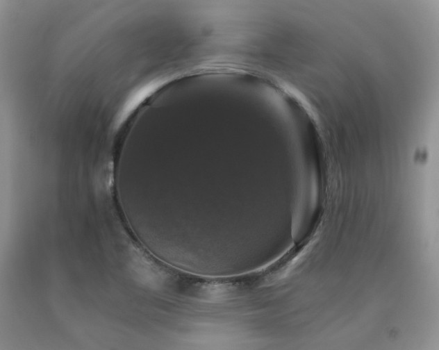 X0000090761461200707201453