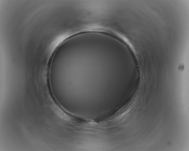 X0000090761463200707201453