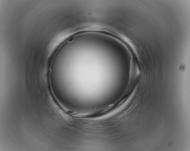 X0000090761464200707201453