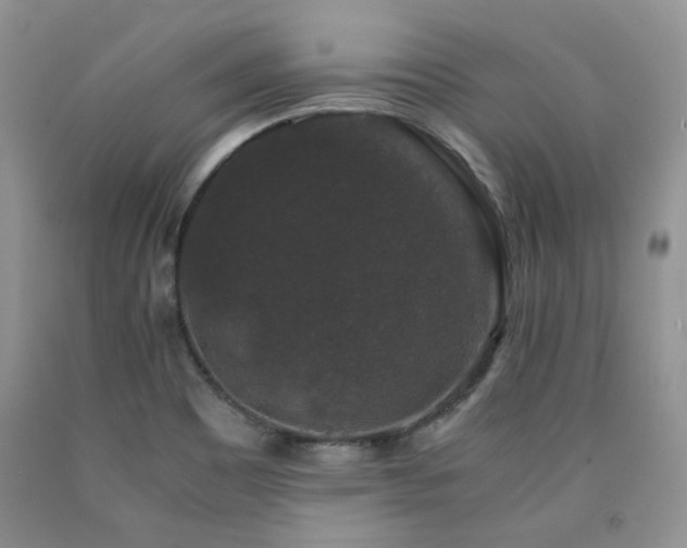 X0000090761465200707201453