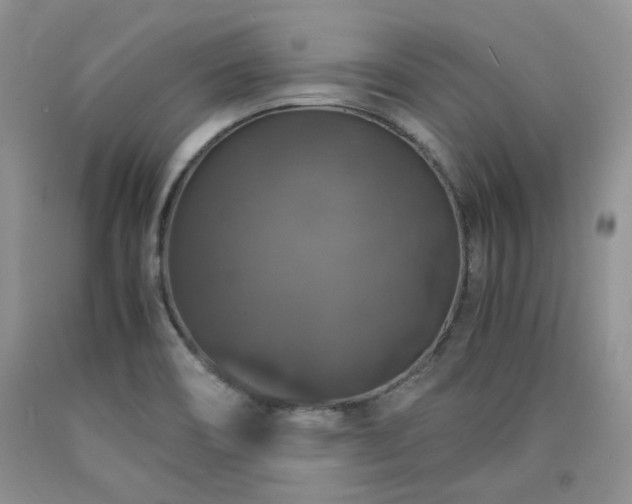 X0000090761466200707201453