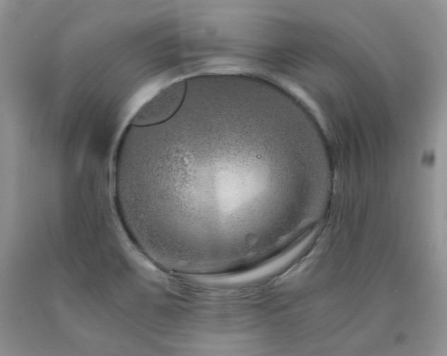 X0000090761467200707201453