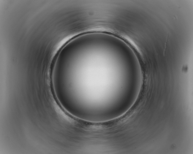 X0000090761468200707201453