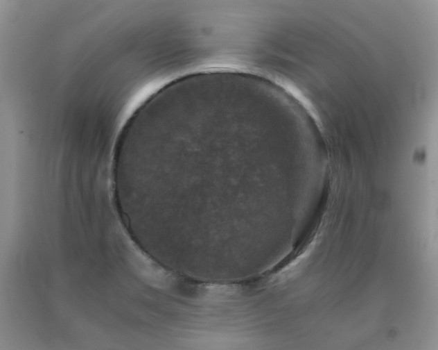 X0000090761469200707201453