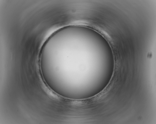 X0000090761470200707201453