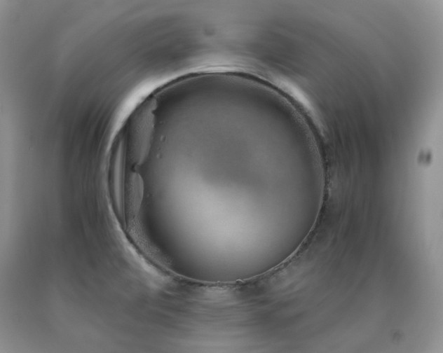 X0000090761472200707201453