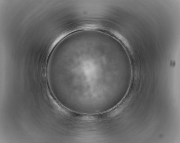 X0000090761473200707201453