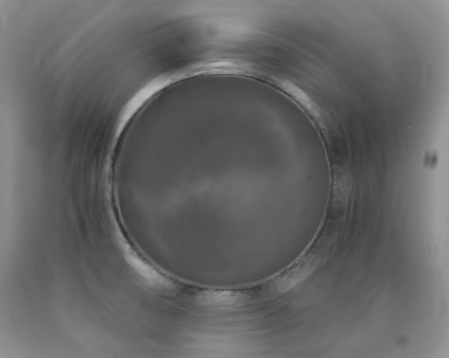 X0000090761474200707201453