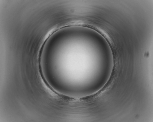 X0000090761475200707201453