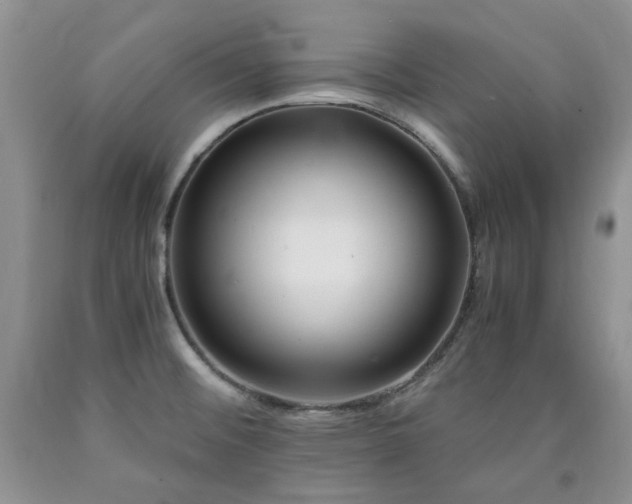 X0000090761476200707201453