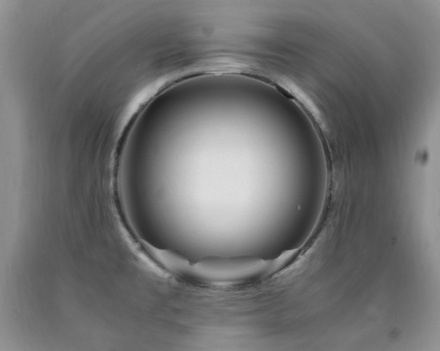 X0000090761477200707201453