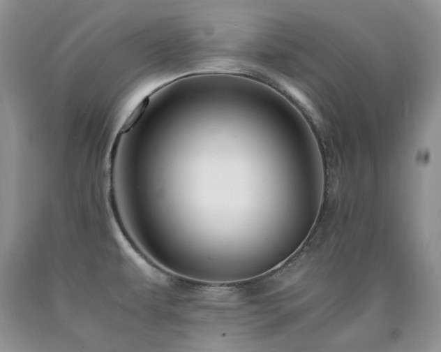 X0000090761479200707201453