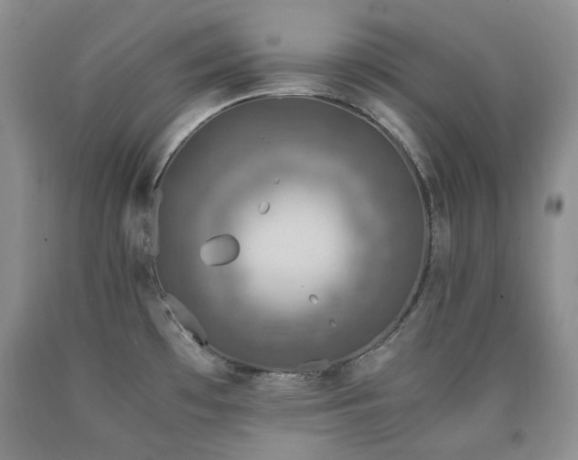 X0000090761481200707201453