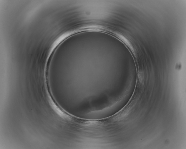 X0000090761482200707201453