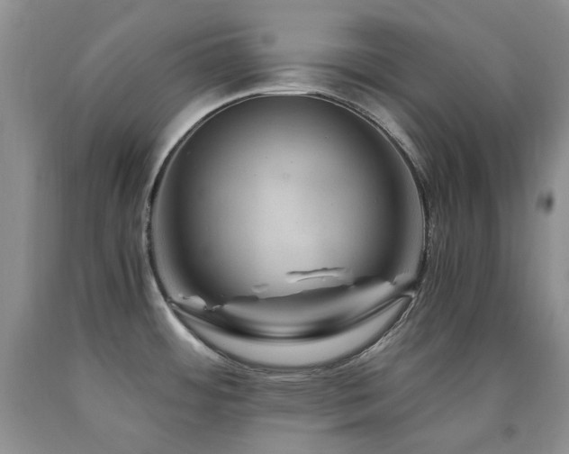 X0000090761484200707201453