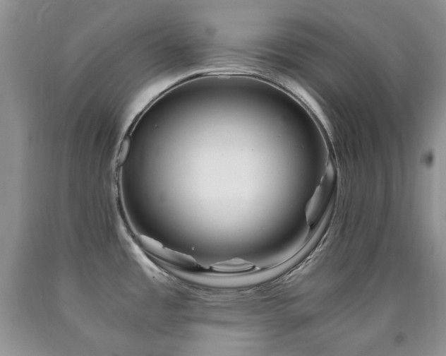 X0000090761485200707201453