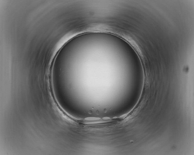 X0000090761486200707201453