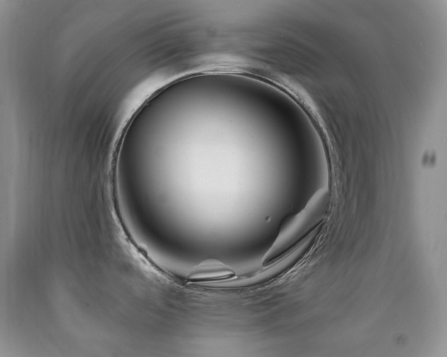 X0000090761488200707201453