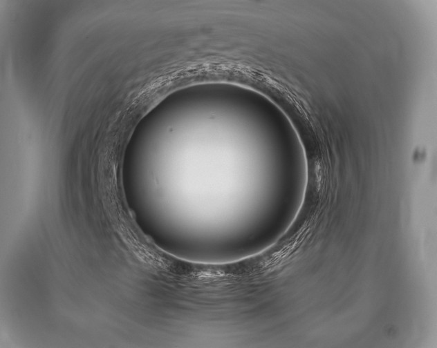 X0000090761489200707201453