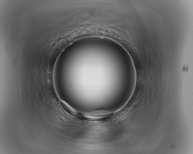 X0000090761490200707201453