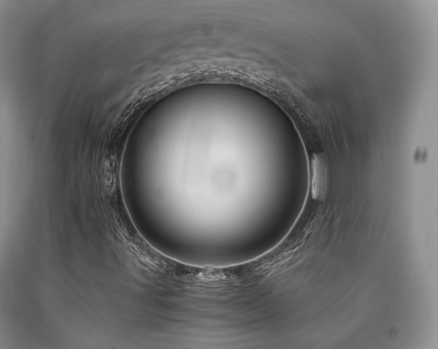 X0000090761491200707201453