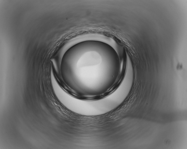 X0000090761492200707201453