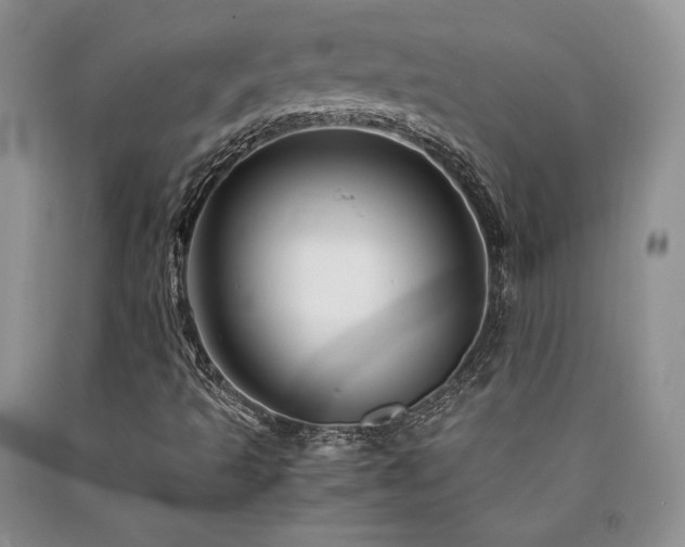 X0000090761493200707201453