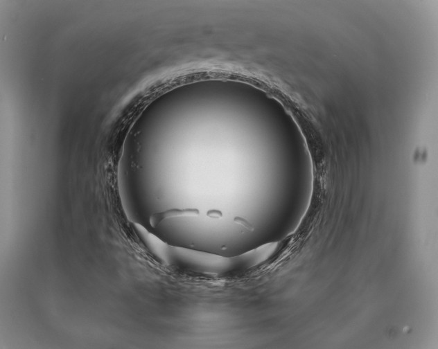 X0000090761495200707201453