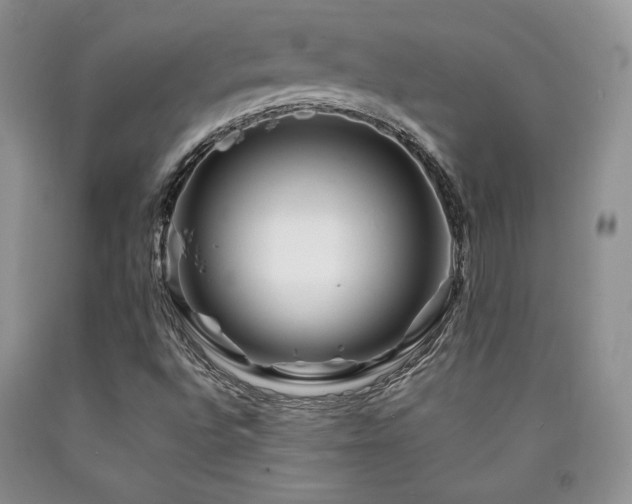 X0000090761496200707201453