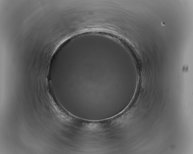 X0000090761497200707201453