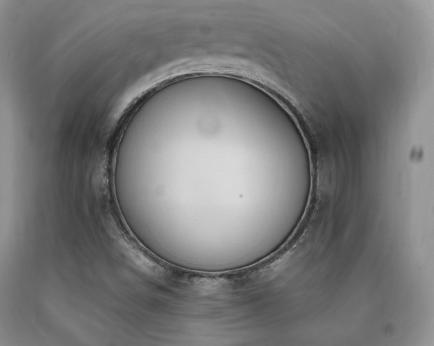 X0000090761498200707201453