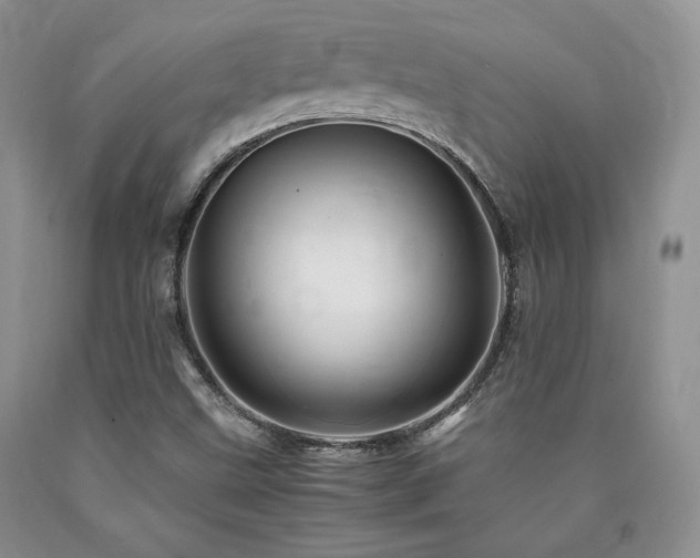 X0000090761499200707201453