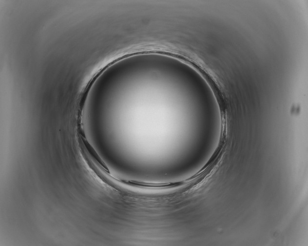 X0000090761500200707201453