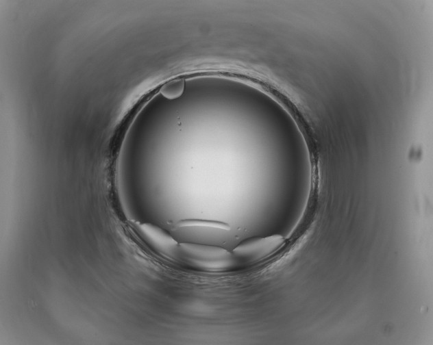 X0000090761501200707201453