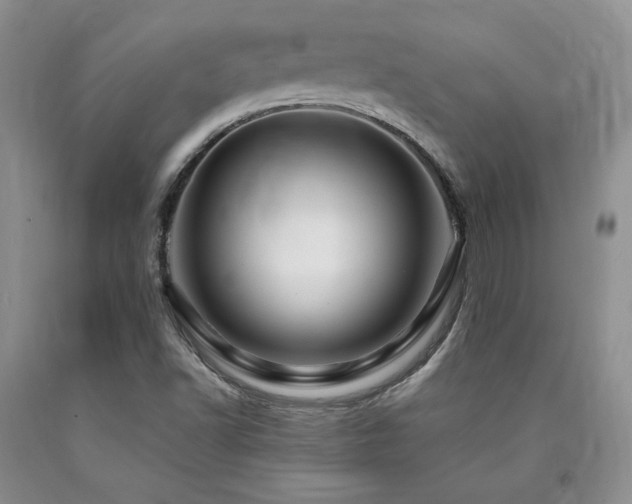 X0000090761502200707201453