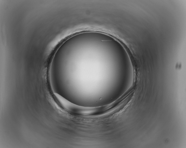 X0000090761503200707201453