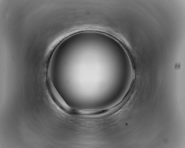 X0000090761504200707201453