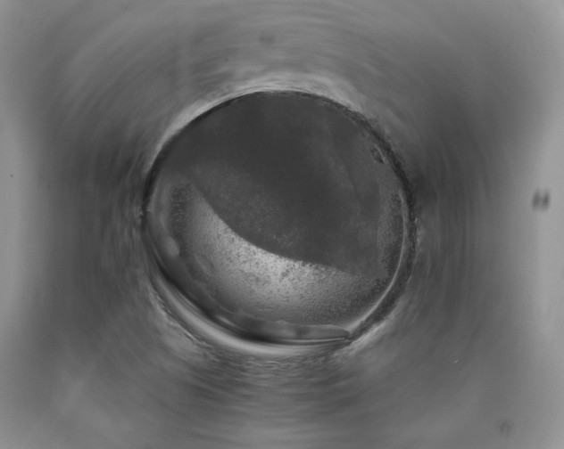 X0000090761505200707201453