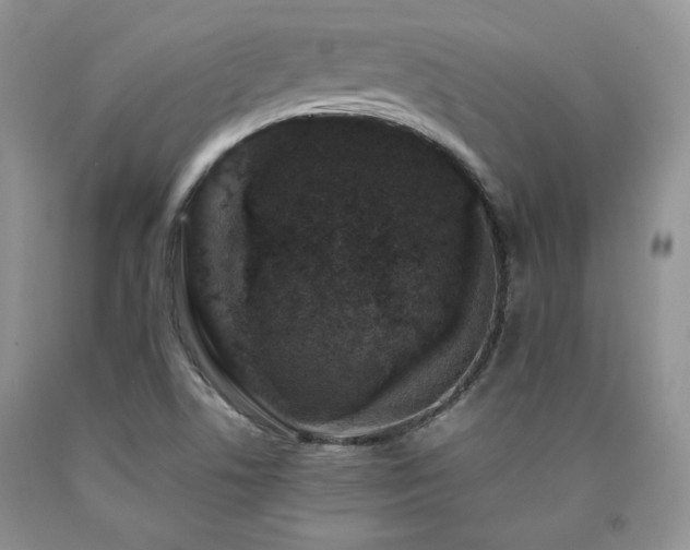 X0000090761506200707201453