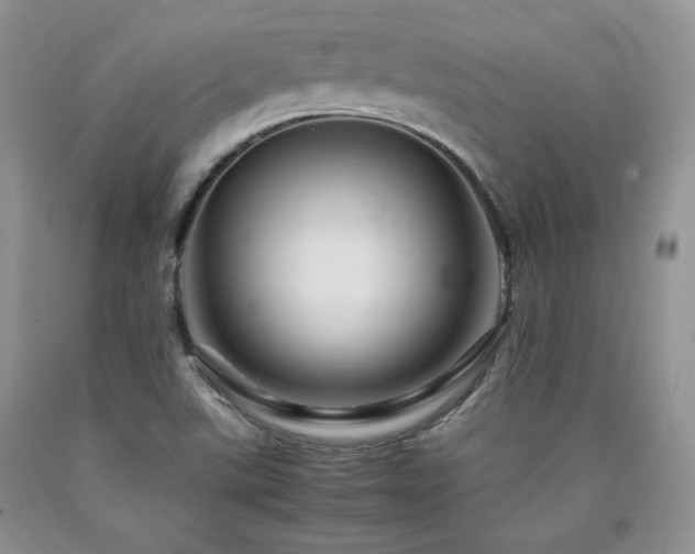 X0000090761507200707201453