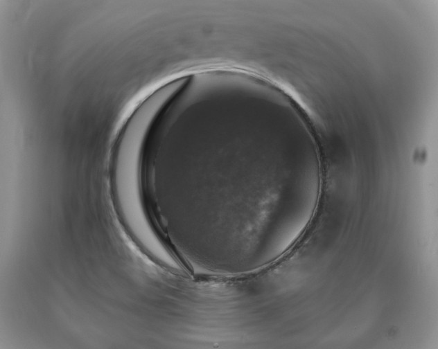 X0000090761508200707201453