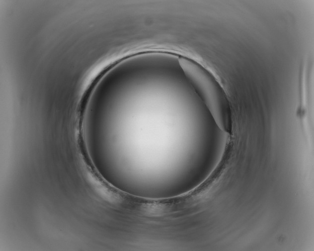 X0000090761511200707201453