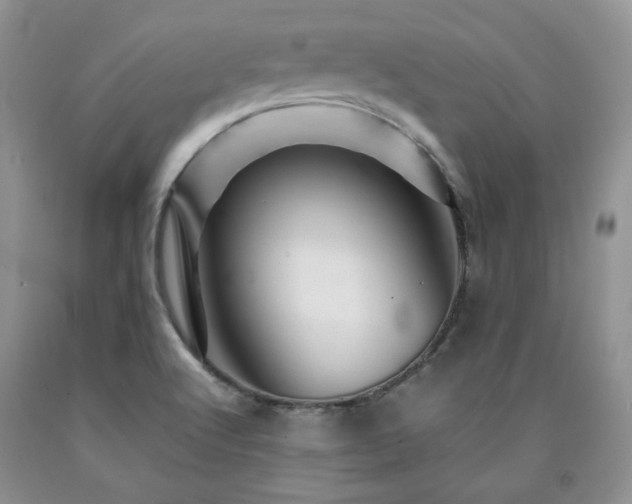 X0000090761512200707201453