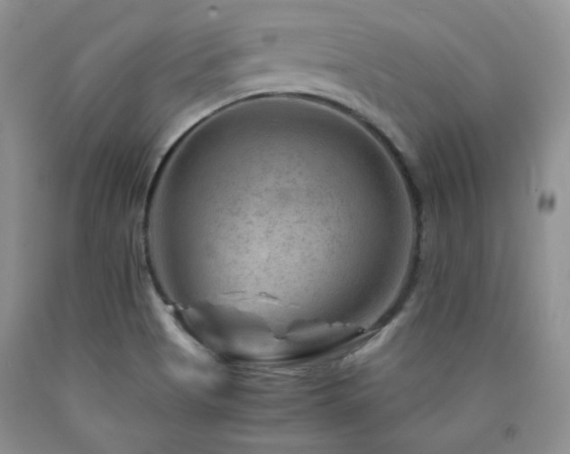 X0000090761513200707201453