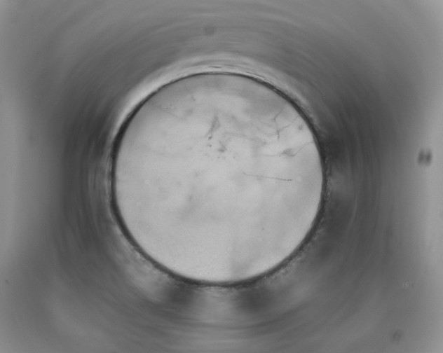 X0000090761514200707201453